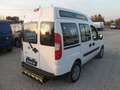 Fiat Doblo 1.9 mjt 105cv 5 posti trasporto disabili Blanco - thumbnail 4