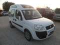 Fiat Doblo 1.9 mjt 105cv 5 posti trasporto disabili Blanc - thumbnail 3