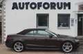 Audi A5 Cabriolet 1.8 TFSI~S-Line~Facelift~Bang&Olufs Brun - thumbnail 11