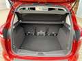 Ford C-Max 1.5 TDCi Trend Frontscheibenheiz*SHZ*Klima Rot - thumbnail 16