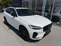 Volvo XC60 XC60 T6 AWD PHEV Ultra Black Edition *27.500km* Weiß - thumbnail 1