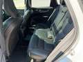 Volvo XC60 XC60 T6 AWD PHEV Ultra Black Edition *27.500km* Weiß - thumbnail 9