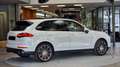 Porsche Cayenne Cayenne II Platinum Edition 3,0 Aut. Platinum Edition Weiß - thumbnail 5