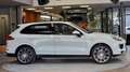 Porsche Cayenne Cayenne II Platinum Edition 3,0 Aut. Platinum Edition Weiß - thumbnail 3