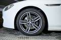 BMW 640 640d Blanco - thumbnail 13