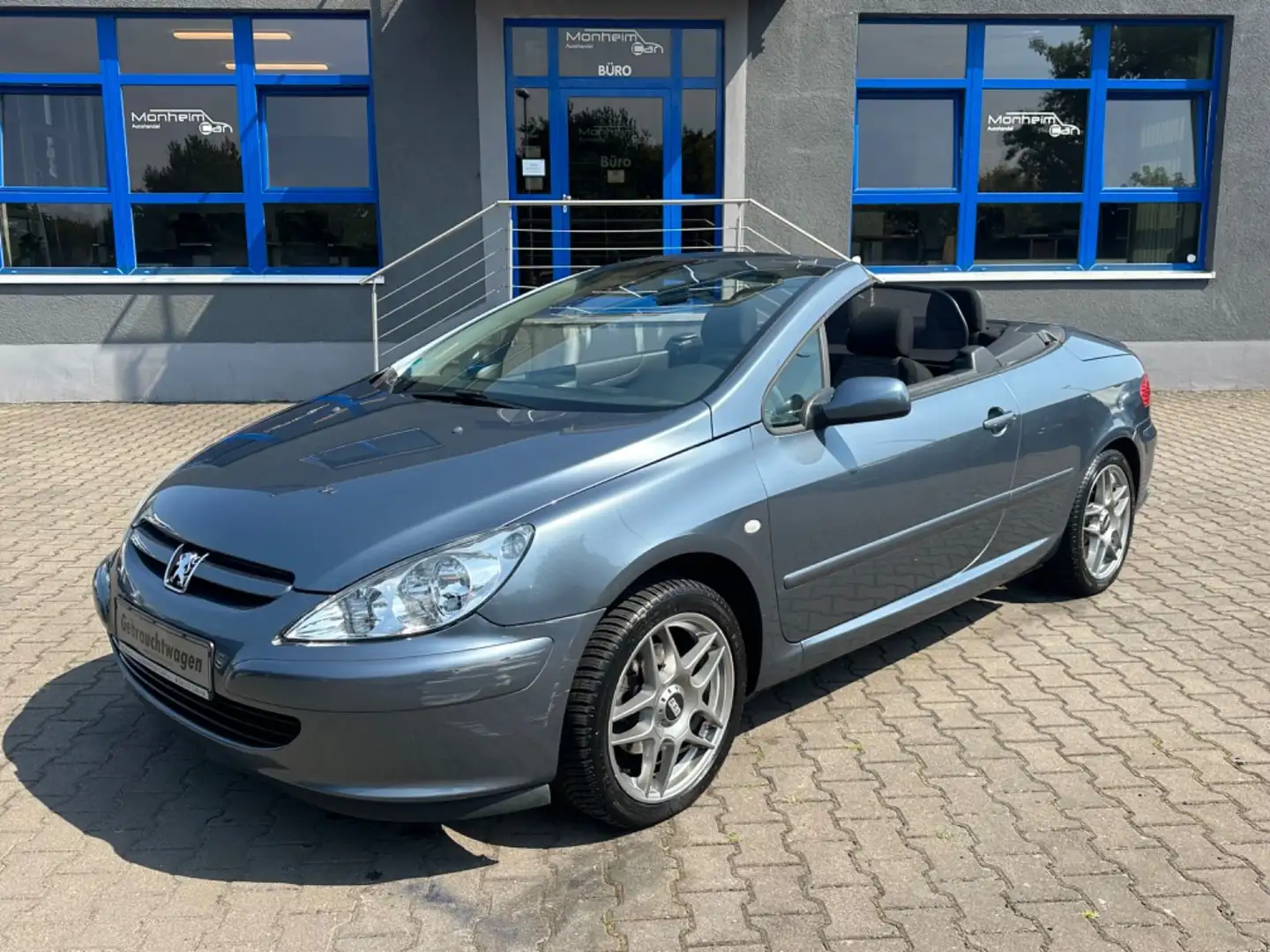 Peugeot 307 CC Cabrio-Coupe Filou 110 Gris - 1