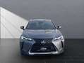 Lexus UX 250h Lexus UX 250h STYLE*LED*KAM*  KAMERA*ALLWETTER Grau - thumbnail 8