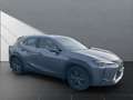 Lexus UX 250h Lexus UX 250h STYLE*LED*KAM*  KAMERA*ALLWETTER Grau - thumbnail 7