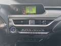 Lexus UX 250h Lexus UX 250h STYLE*LED*KAM*  KAMERA*ALLWETTER Grau - thumbnail 15