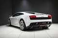 Lamborghini Gallardo LP560-4 *1.Hand*Lift* Blanc - thumbnail 7