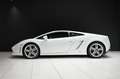 Lamborghini Gallardo LP560-4 *1.Hand*Lift* Blanc - thumbnail 4