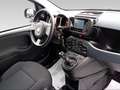 Fiat New Panda 1.0 FireFly Hybrid City Life - thumbnail 12