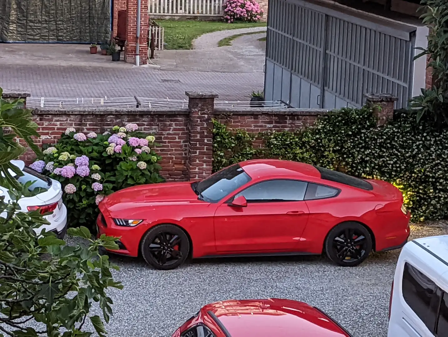 Ford Mustang Mustang VI 2015 Fastback Fastback 2.3 ecv auto Red - 1
