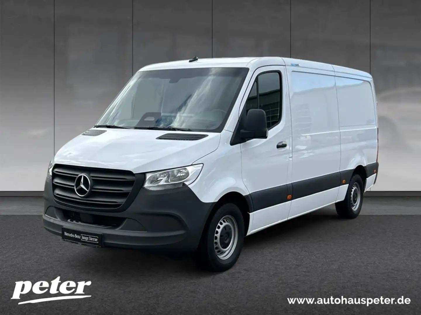 Mercedes-Benz Sprinter 317 CDI Kühlkasten Pro KLIMA+KAMERA+MBUX Weiß - 1