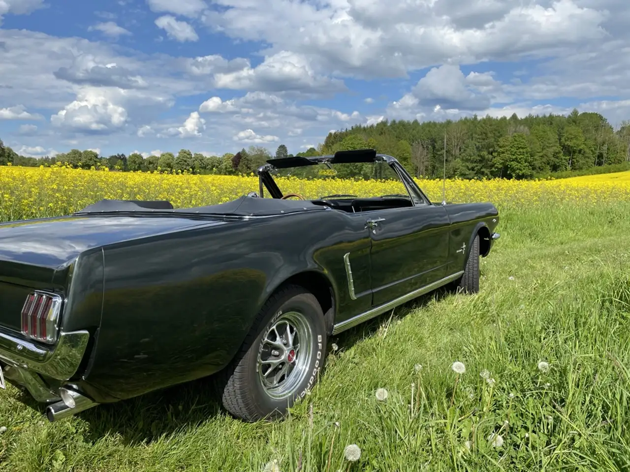 Ford Mustang, foto 6