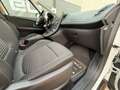 Renault Scenic IV 1.3 TCe 115 Zen OPF (EURO 6d) - thumbnail 25