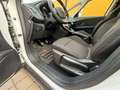 Renault Scenic IV 1.3 TCe 115 Zen OPF (EURO 6d) - thumbnail 12