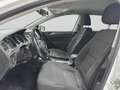 Volkswagen Golf 1.6 TDI 115 CV 5p. Business SENZA FINANZIAMENTO Bianco - thumbnail 9