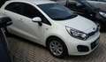 Kia Rio Rio III 2011 5p 1.1 crdi Cool Bianco - thumbnail 3