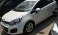 Kia Rio Rio III 2011 5p 1.1 crdi Cool Bianco - thumbnail 4