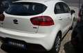 Kia Rio Rio III 2011 5p 1.1 crdi Cool Bianco - thumbnail 2