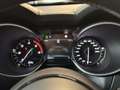 Alfa Romeo Stelvio 2.2Turbo 210cv AT8 Q4 Ti Pelle Navi Fari Xeno Blis Gris - thumbnail 10