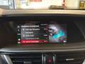 Alfa Romeo Stelvio 2.2Turbo 210cv AT8 Q4 Ti Pelle Navi Fari Xeno Blis Gris - thumbnail 35