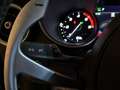 Alfa Romeo Stelvio 2.2Turbo 210cv AT8 Q4 Ti Pelle Navi Fari Xeno Blis Gris - thumbnail 19