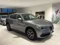 Alfa Romeo Stelvio 2.2Turbo 210cv AT8 Q4 Ti Pelle Navi Fari Xeno Blis Gris - thumbnail 2