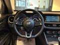 Alfa Romeo Stelvio 2.2Turbo 210cv AT8 Q4 Ti Pelle Navi Fari Xeno Blis Gris - thumbnail 9