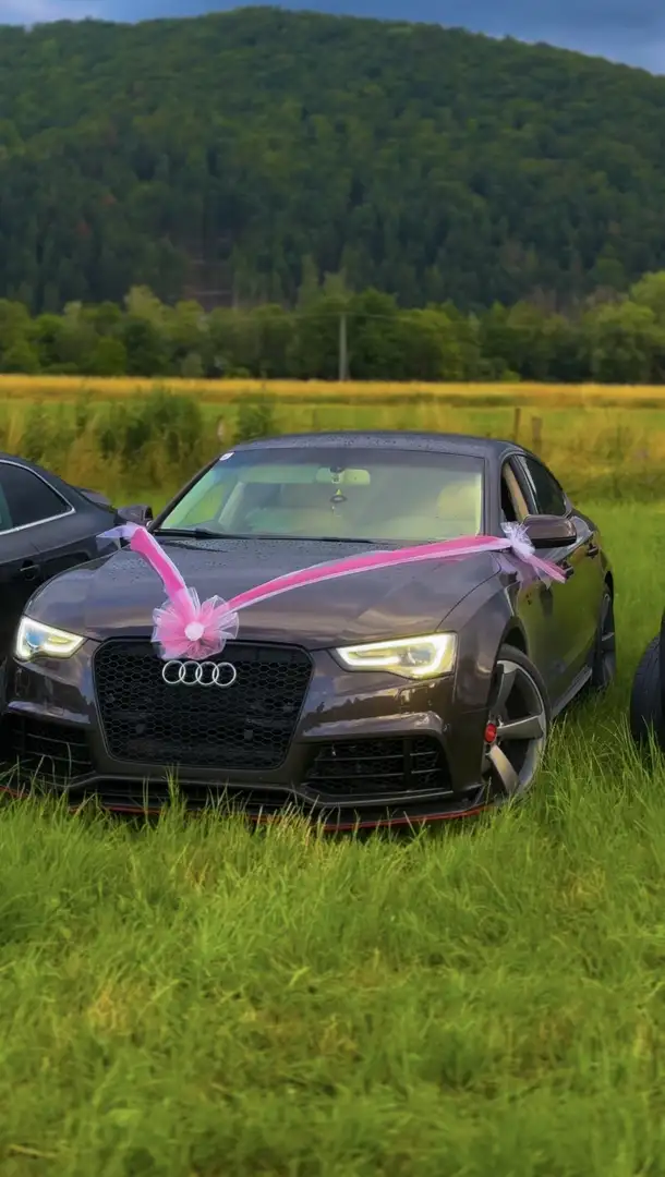 Audi A5 3.0 TDI Sportback clean diesel quat. DPF S tro. - 1