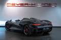 McLaren Sonstige Elva SAMMLERFAHRZEUG 149 Stück Grau - thumbnail 8