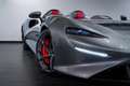 McLaren Sonstige Elva SAMMLERFAHRZEUG 149 Stück Grau - thumbnail 3