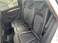 Audi SQ5 SQ5 plus 3,0 TDI quattro Tiptronic Weiß - thumbnail 8