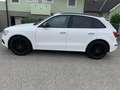 Audi SQ5 SQ5 plus 3,0 TDI quattro Tiptronic Weiß - thumbnail 6