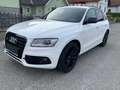Audi SQ5 SQ5 plus 3,0 TDI quattro Tiptronic Weiß - thumbnail 1
