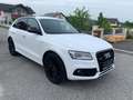 Audi SQ5 SQ5 plus 3,0 TDI quattro Tiptronic Weiß - thumbnail 7