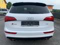 Audi SQ5 SQ5 plus 3,0 TDI quattro Tiptronic Weiß - thumbnail 3