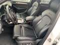 Audi SQ5 SQ5 plus 3,0 TDI quattro Tiptronic Weiß - thumbnail 5
