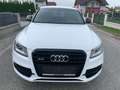 Audi SQ5 SQ5 plus 3,0 TDI quattro Tiptronic Weiß - thumbnail 2