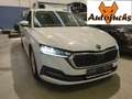Skoda Octavia Kombi 2,0TDI DSG Ambition * Ambiente-groß, ACC* Weiß - thumbnail 1