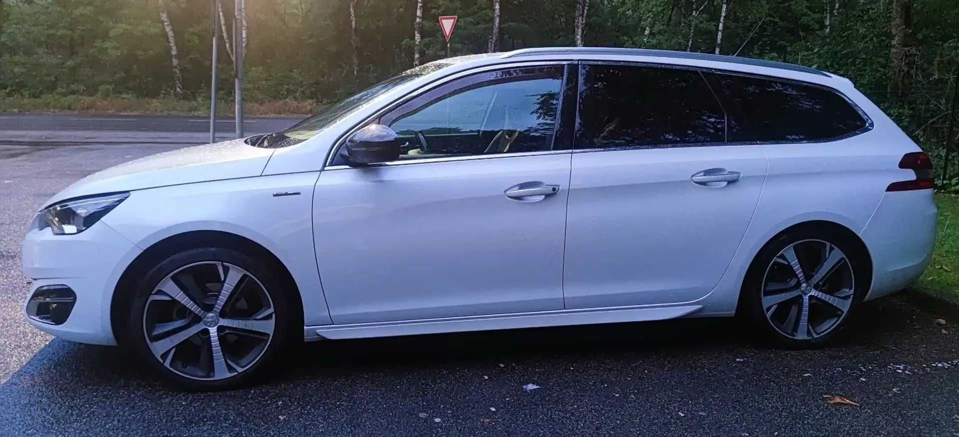Peugeot 308 5p 1.6 bluehdi Gt Line s&s 120cv eat6 - 2