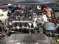 Ford Kuga Titanium 2.5 DuraTec FHEV 4WD Schwarz - thumbnail 24