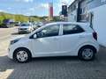Kia Picanto 1.0 CVVT ComfortLine Weiß - thumbnail 3