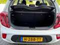 Kia Picanto 1.0 CVVT ComfortLine Weiß - thumbnail 8