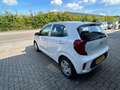 Kia Picanto 1.0 CVVT ComfortLine Weiß - thumbnail 4