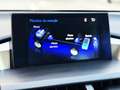 Lexus NX 300h 2.5 EXECUTIVE 4WD con CUERO COMPLETO, CÁMARA TRAS Silber - thumbnail 25