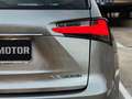 Lexus NX 300h 2.5 EXECUTIVE 4WD con CUERO COMPLETO, CÁMARA TRAS Silber - thumbnail 15