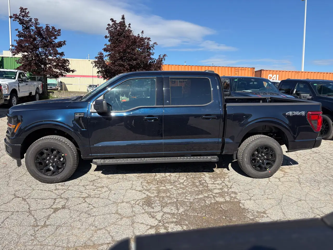 Ford F 150 fotografie Ford F 150