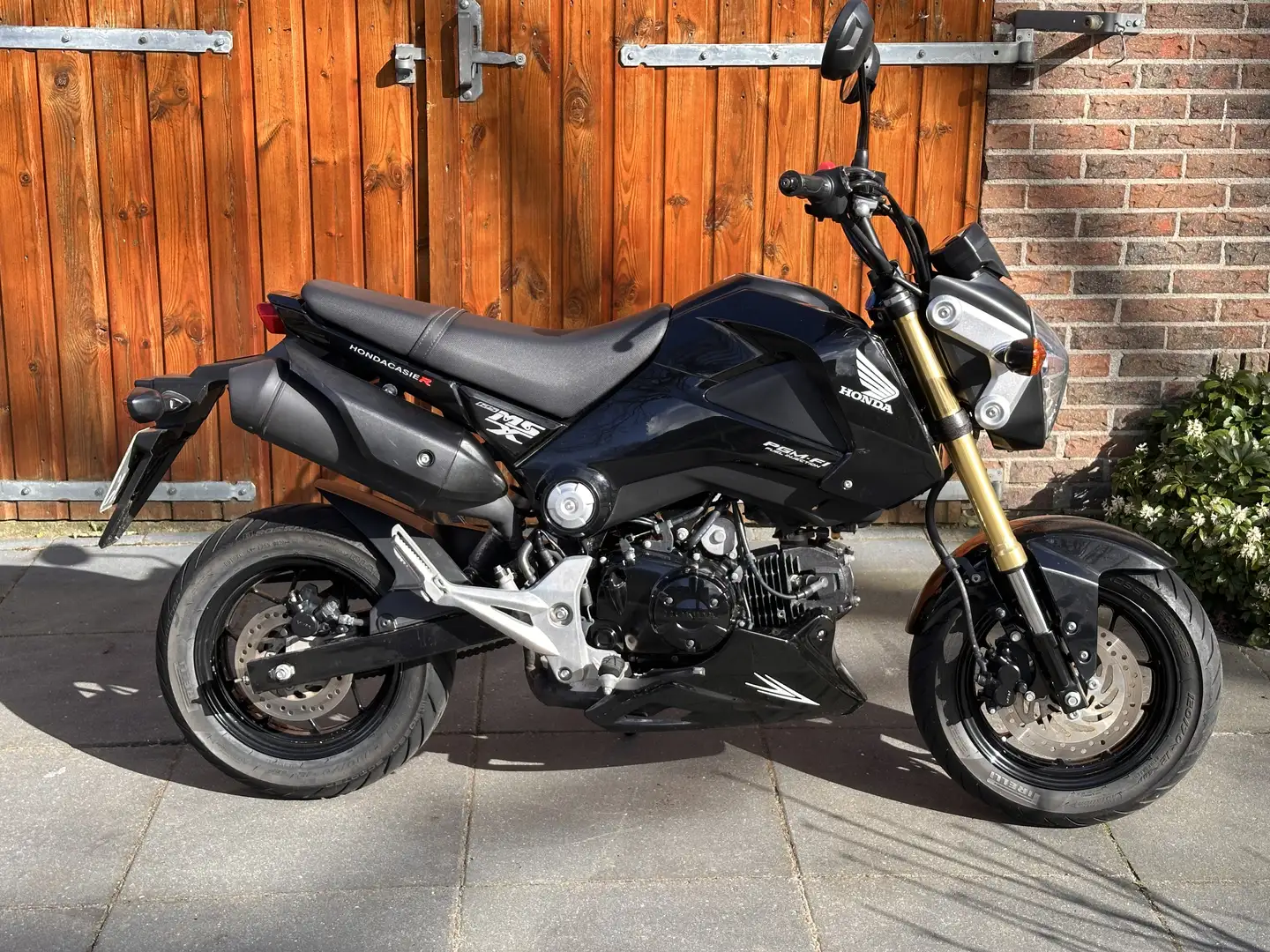 Honda MSX 125 Compacte Zuinige Motor Negro - 1